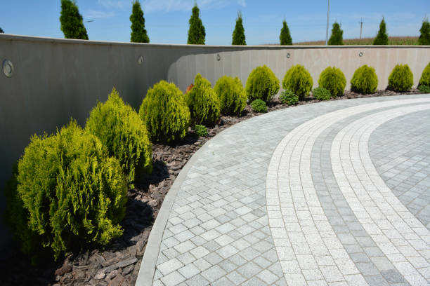 Best Driveway Repair Near Me  in Lenwood, CA